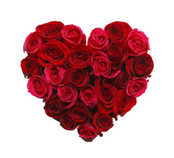Rosen-Herz